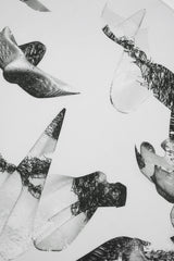 DANCING SHADOWS COTTON SILK SCARF